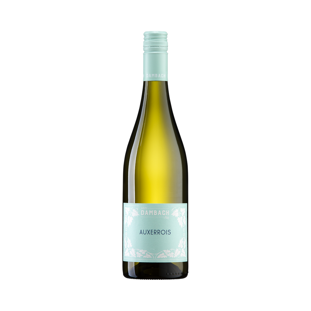 Auxerrois Dambach 2024